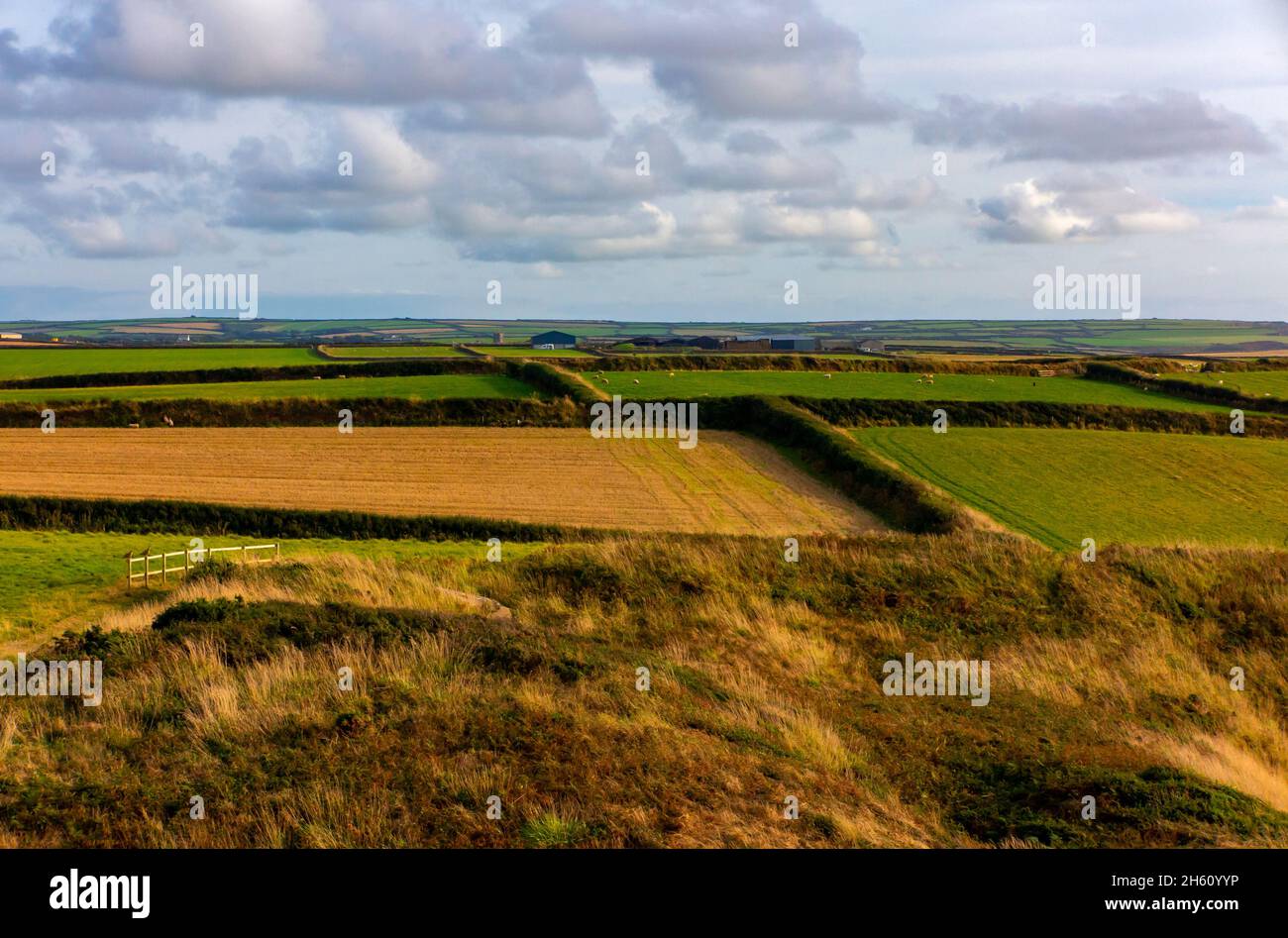 View of rural countryside with hedges and fields near Hartland Point in North Devon England UK. Stock Photo
