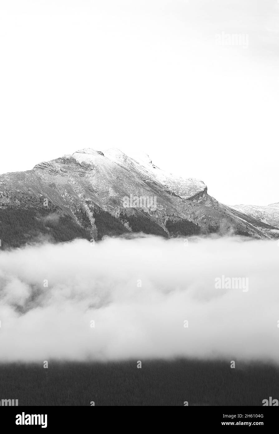 Canadian Rockies in black and white V, Canada Stock Photo - Alamy