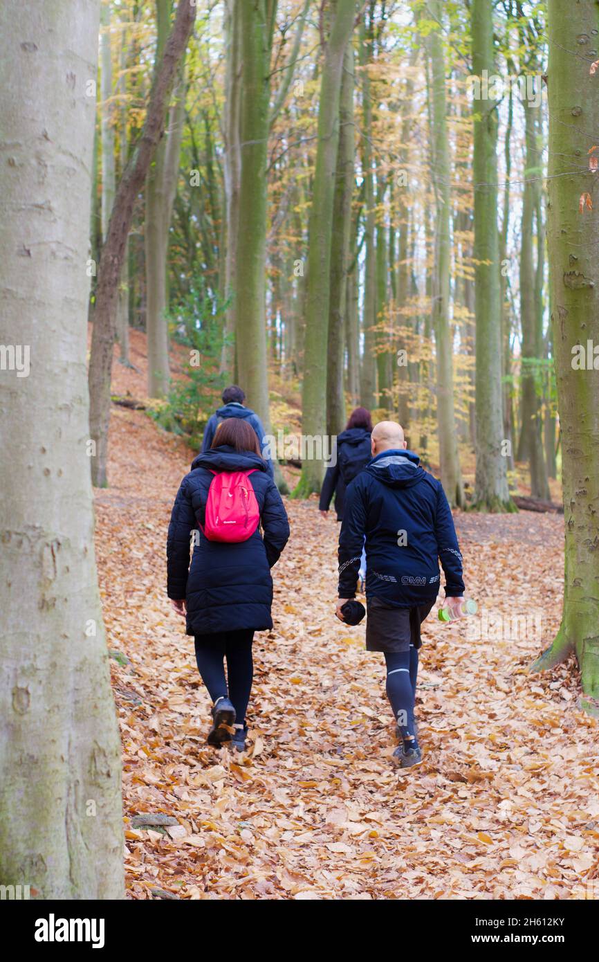 Group of people out on a walk / hike, sponsored walk in the woods, countryside. Stock Photo