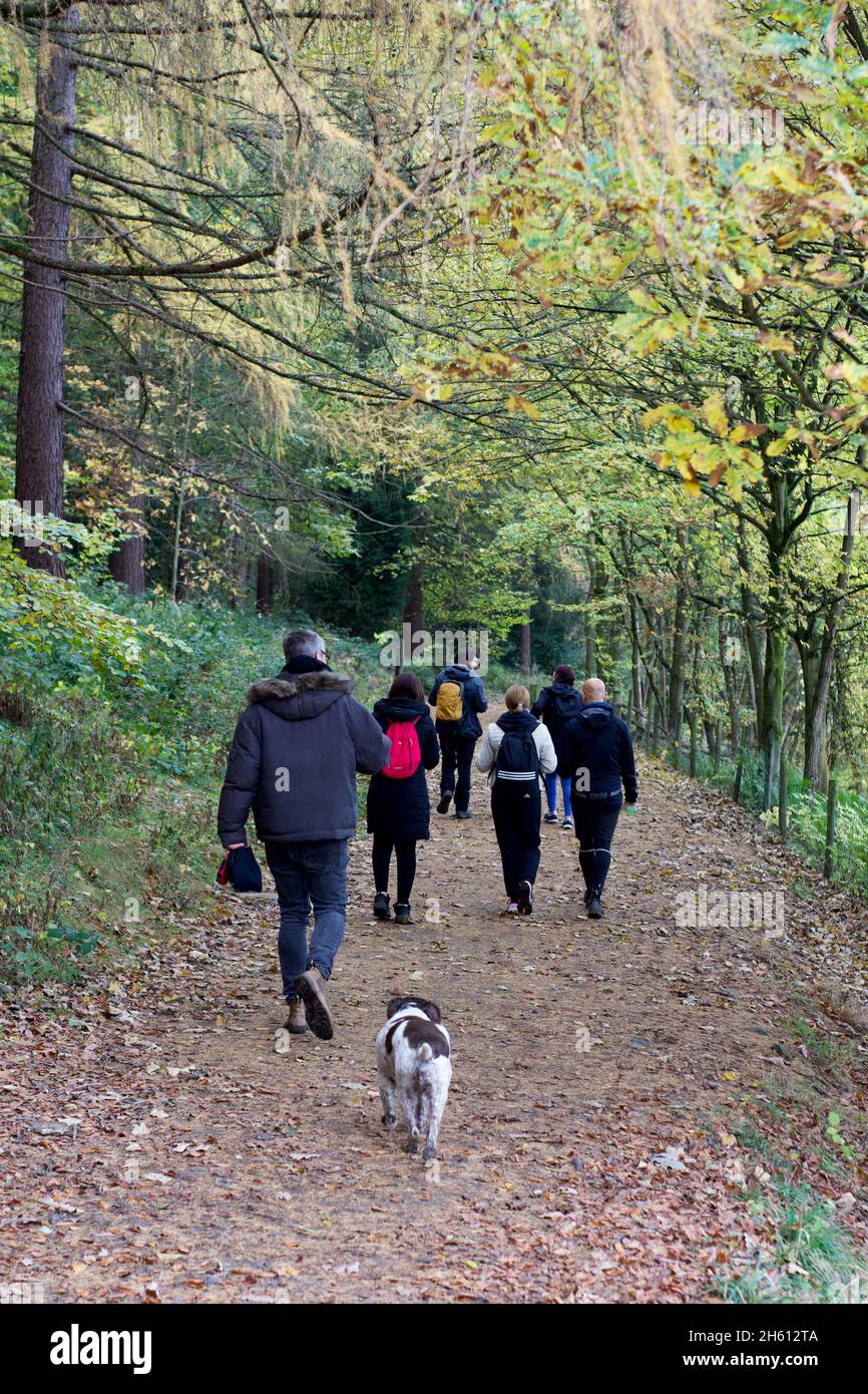 A group of people hike through the woods during a local sponsored walk, this team walk raised money for charity. (British woodland) Stock Photo