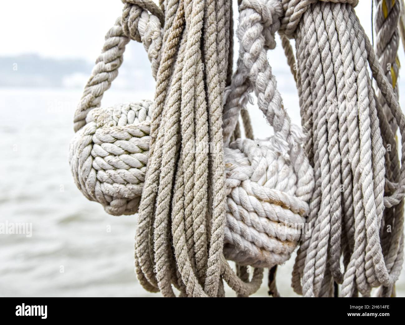 Two monkey's fist knots tied to the end of ropes to use as weighs making them easier to throw. Also used as an ornamental knot. Closeup. Copy space. Stock Photo