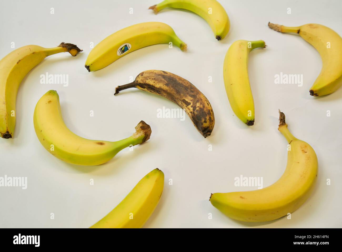 A brown, overripe banana sits surrounded by fresh yellow ones, standing out in the crowd Stock Photo