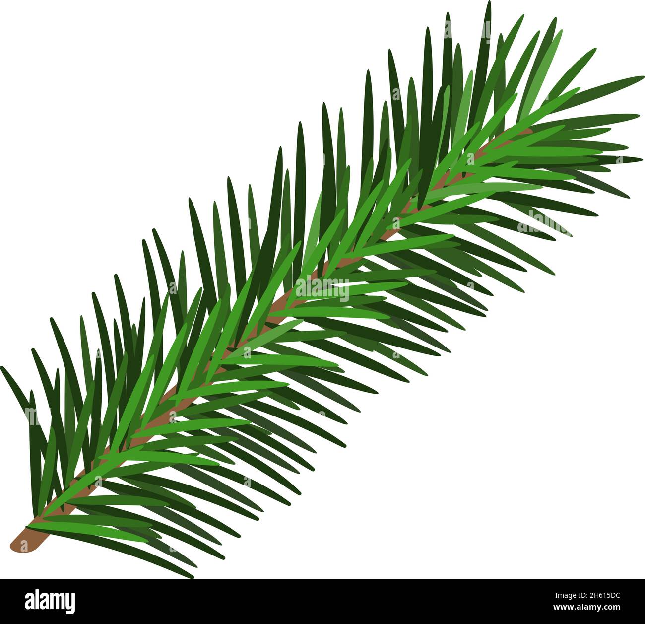 Hand drawn green lush spruce branch. Christmas tree element. Isolated on white vector illustration. Xmas decorative design item in retro style Stock Vector