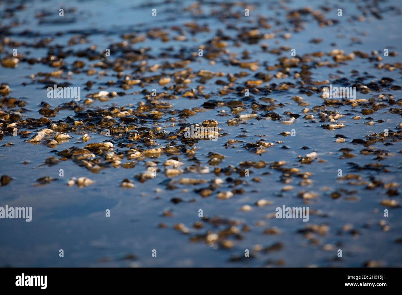 stone soil unclean with water Stock Photo