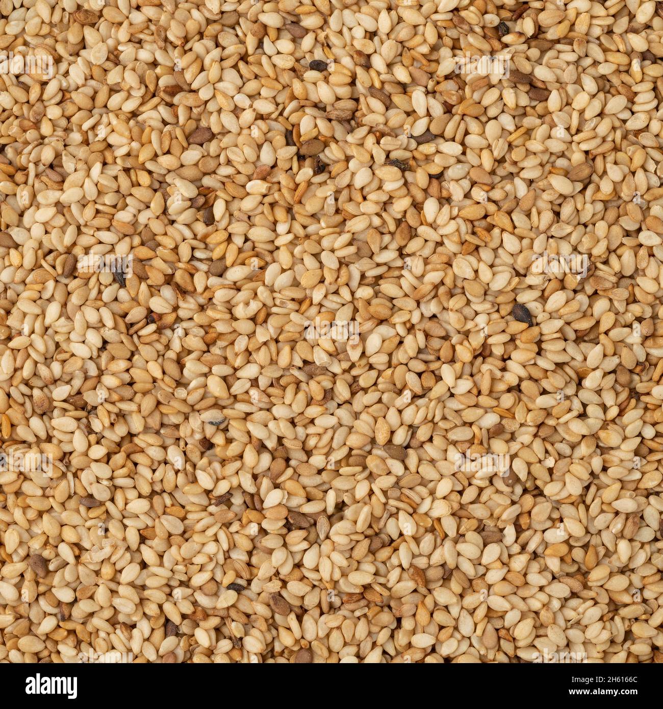 Top view, closeup of sesame seeds. Food backdrop Stock Photo Alamy