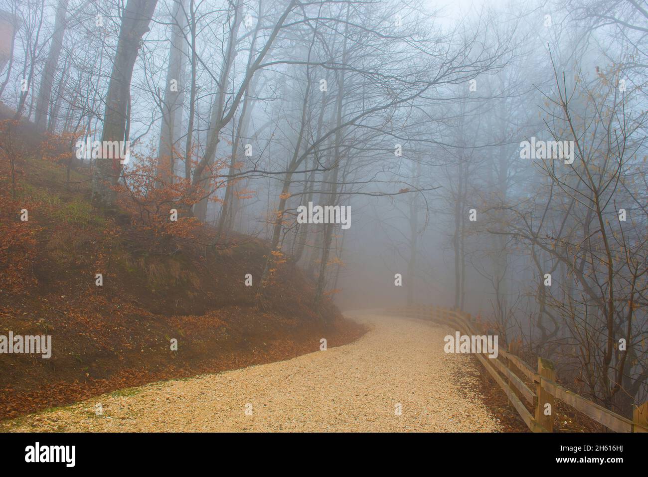 Brasov romania autumn hi-res stock photography and images - Page 11 - Alamy