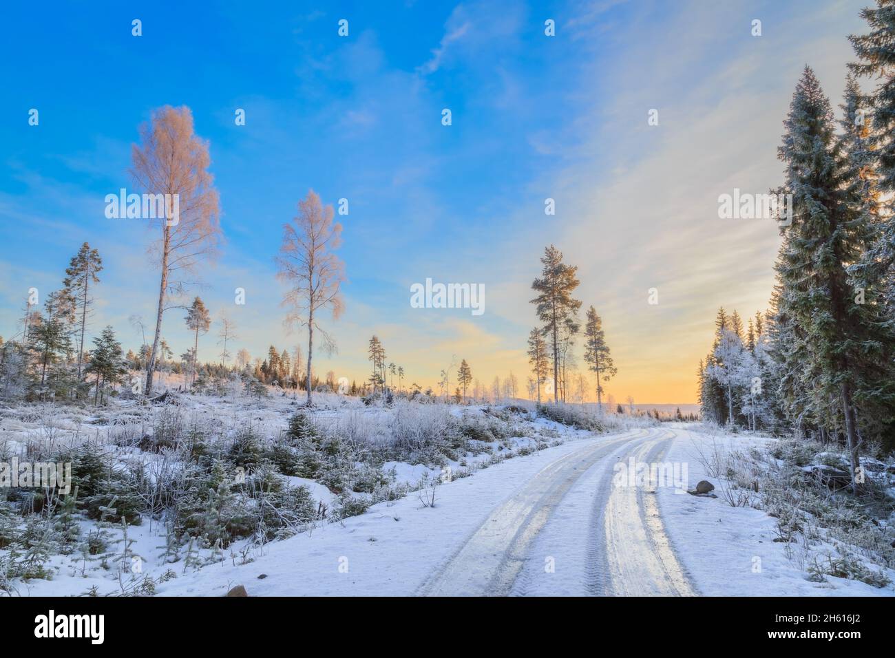 road with ice and snow with trees during sunset Stock Photo