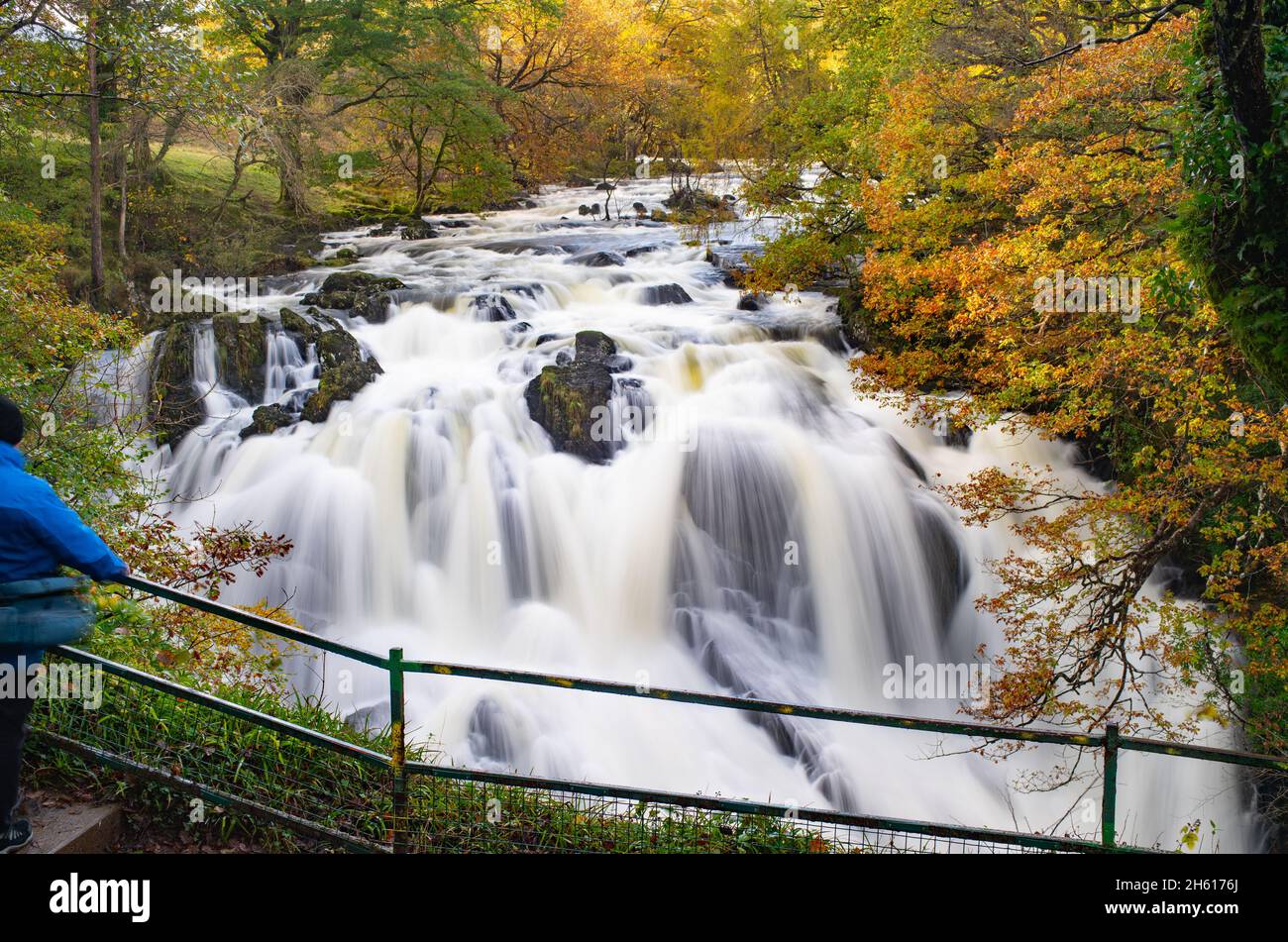Swalow Falls, (The River Llugwy) near Betws-Y-Coed, County Conwy, North Wales. Image taken in November 2021. Stock Photo