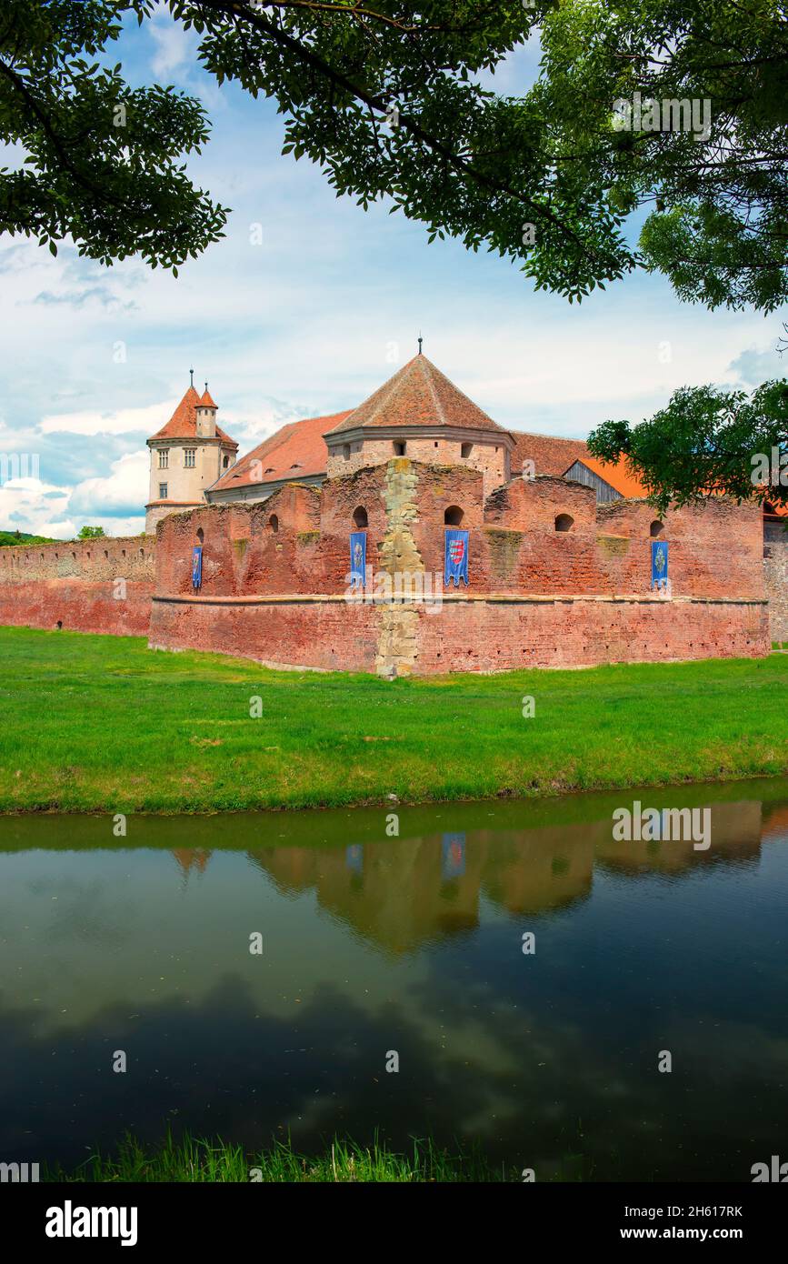 Fagaras castle, Transilvanya, Romania, town, history, swans, ducks, birds, beautiful, citywall, reflection, canal, protection channel Stock Photo