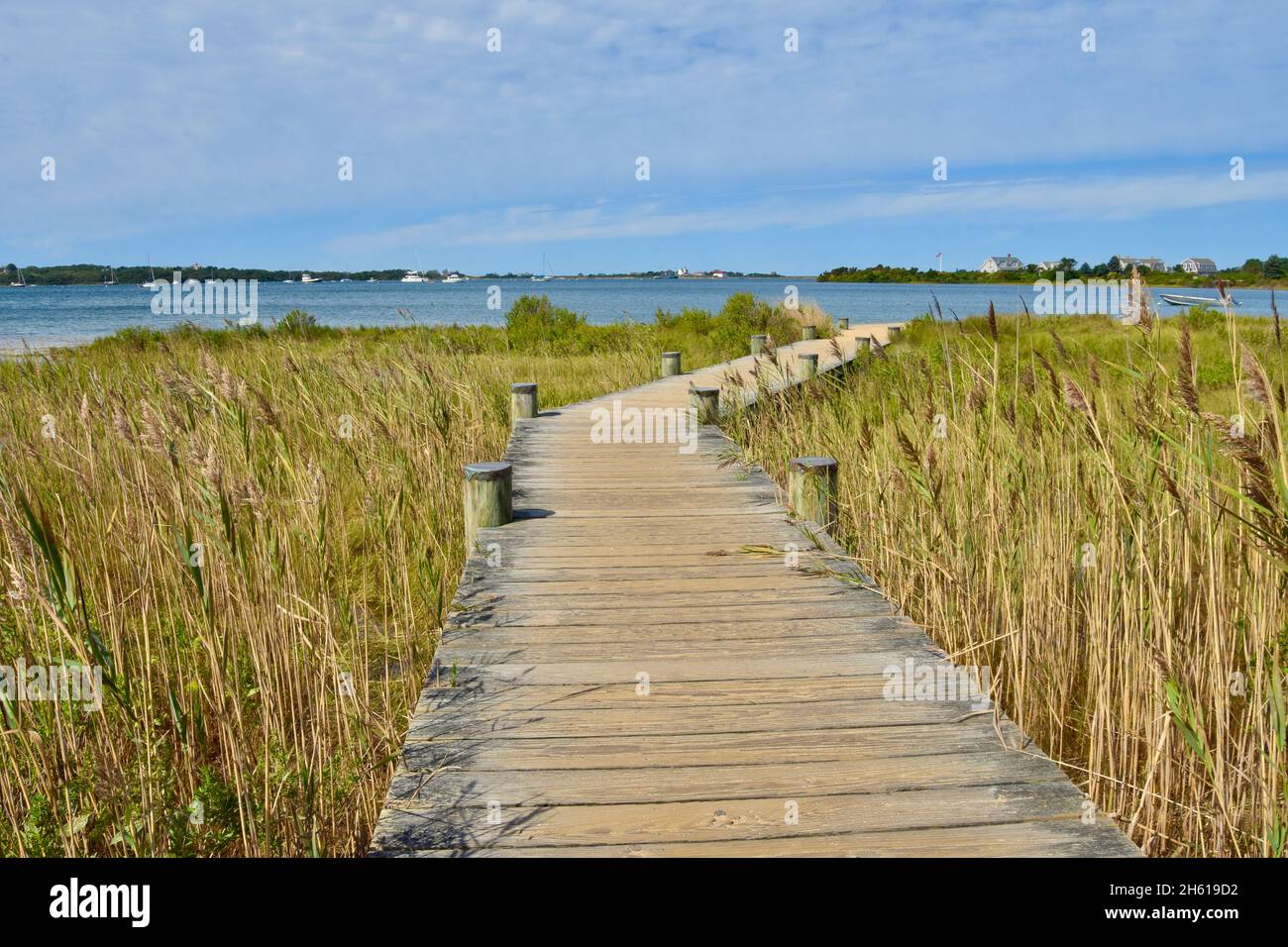 A boardwalk leads to the shore of Great Salt Pond. Block Island, Rhode Island. Copy space. Stock Photo