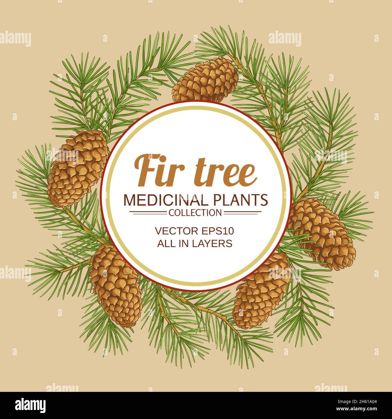 fir tree vector frame on color background Stock Vector Image & Art - Alamy