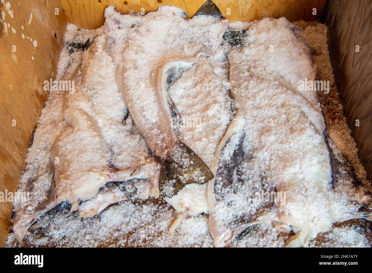 Cod Fish Labrador Salt cod fish hi-res stock photography and images - Alamy