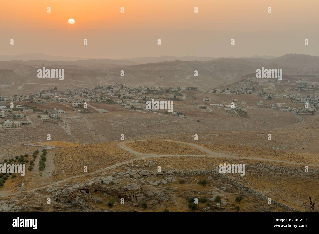Sunrise view towards the Judaean desert and the Dead Sea, with a herd of sheep and Palestinian villages. From Herodium, the West Bank, South of Jerusa Stock Photo