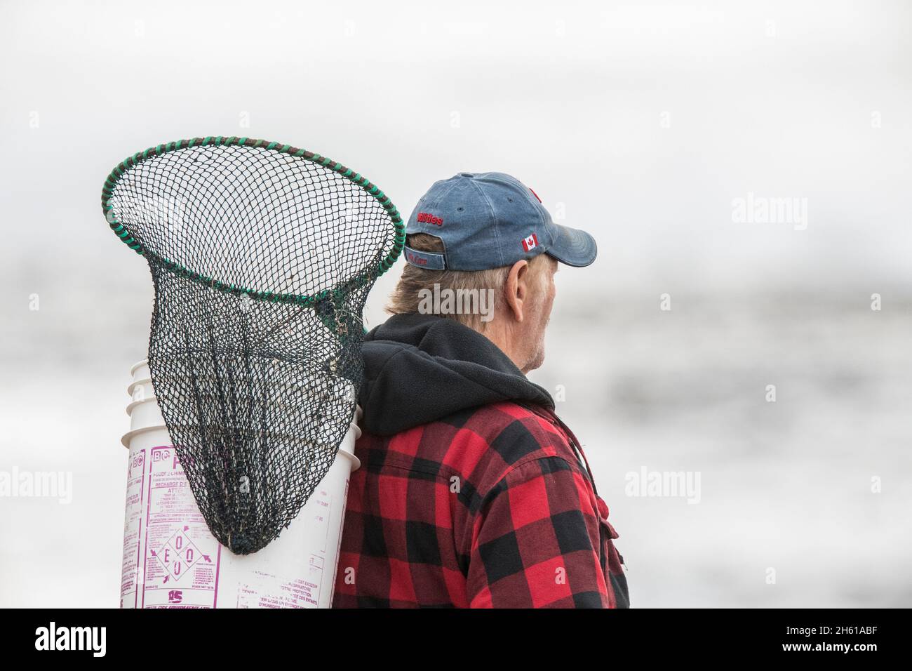 Local Newfoundlander with dip net, waiting for incoming capelin, Kippens, Newfoundland and Labrador NL, Canada Stock Photo
