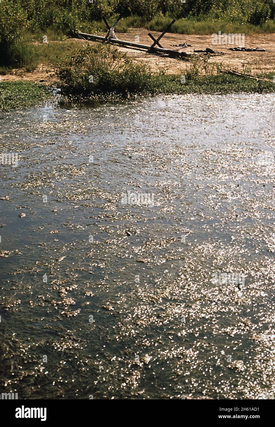Discharge pipe from gas well in marsh empties into pond. Pond water is covered with scum; Louisiana  ca. May 1972 Stock Photo