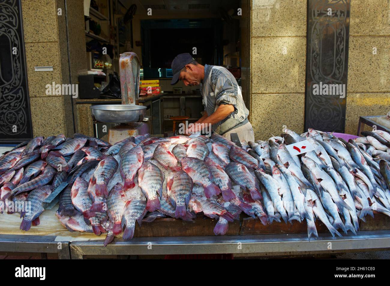 Egypte, la côte méditerranéenne, Alexandrie, le marché aux poissons