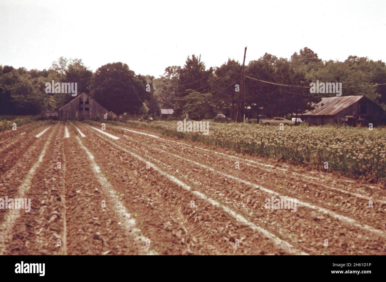 Grand pointe louisiana hires stock photography and images Alamy