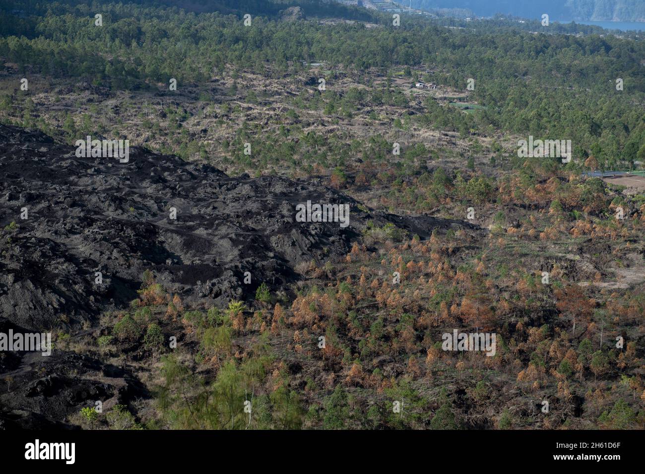 View of extent of lava flow from 1974, Mount Batur, Bangli Regency, Bali, Indonesia, Asia Stock Photo