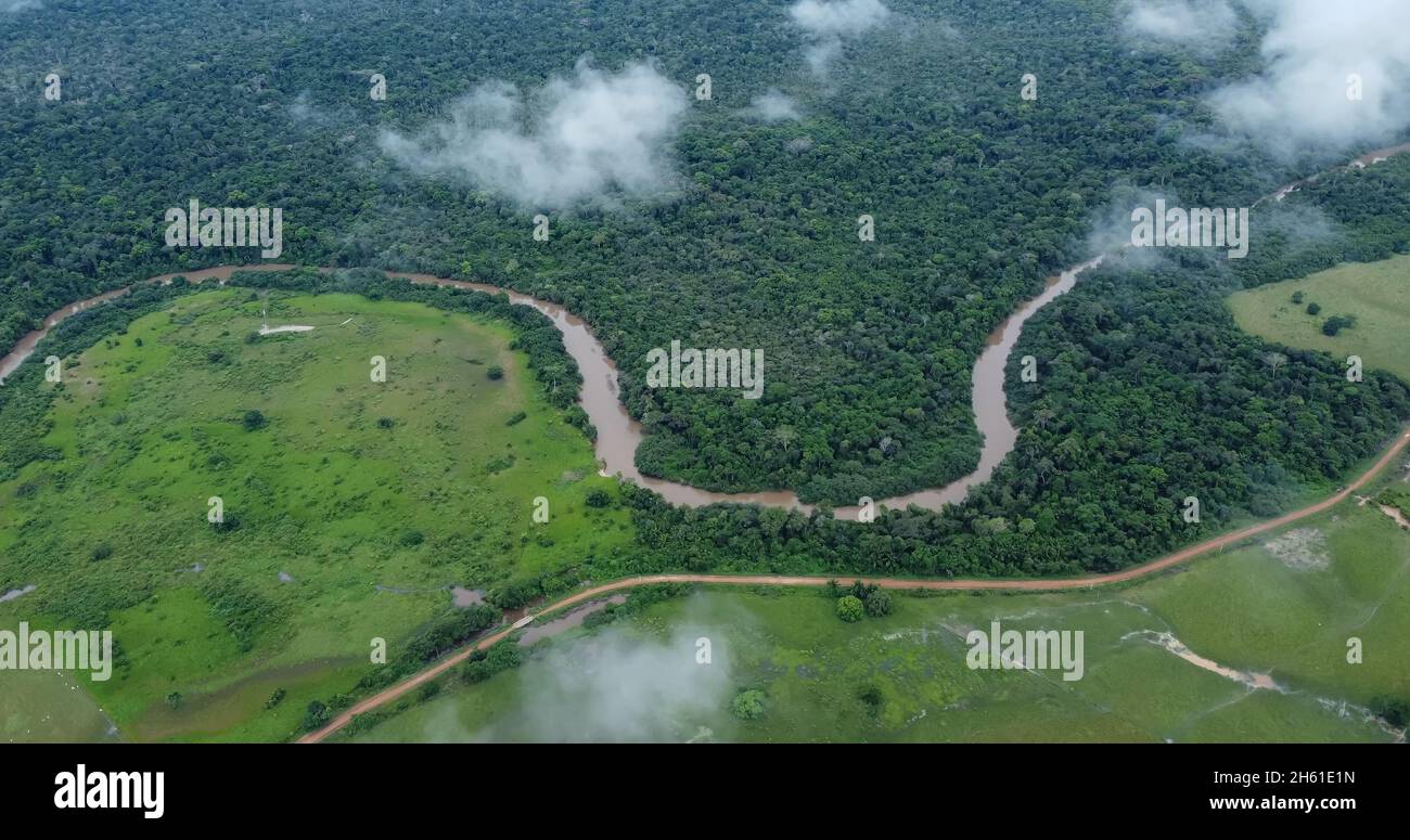 Aerial view of Amazon rainforest in Brazil, South America. Green forest ...