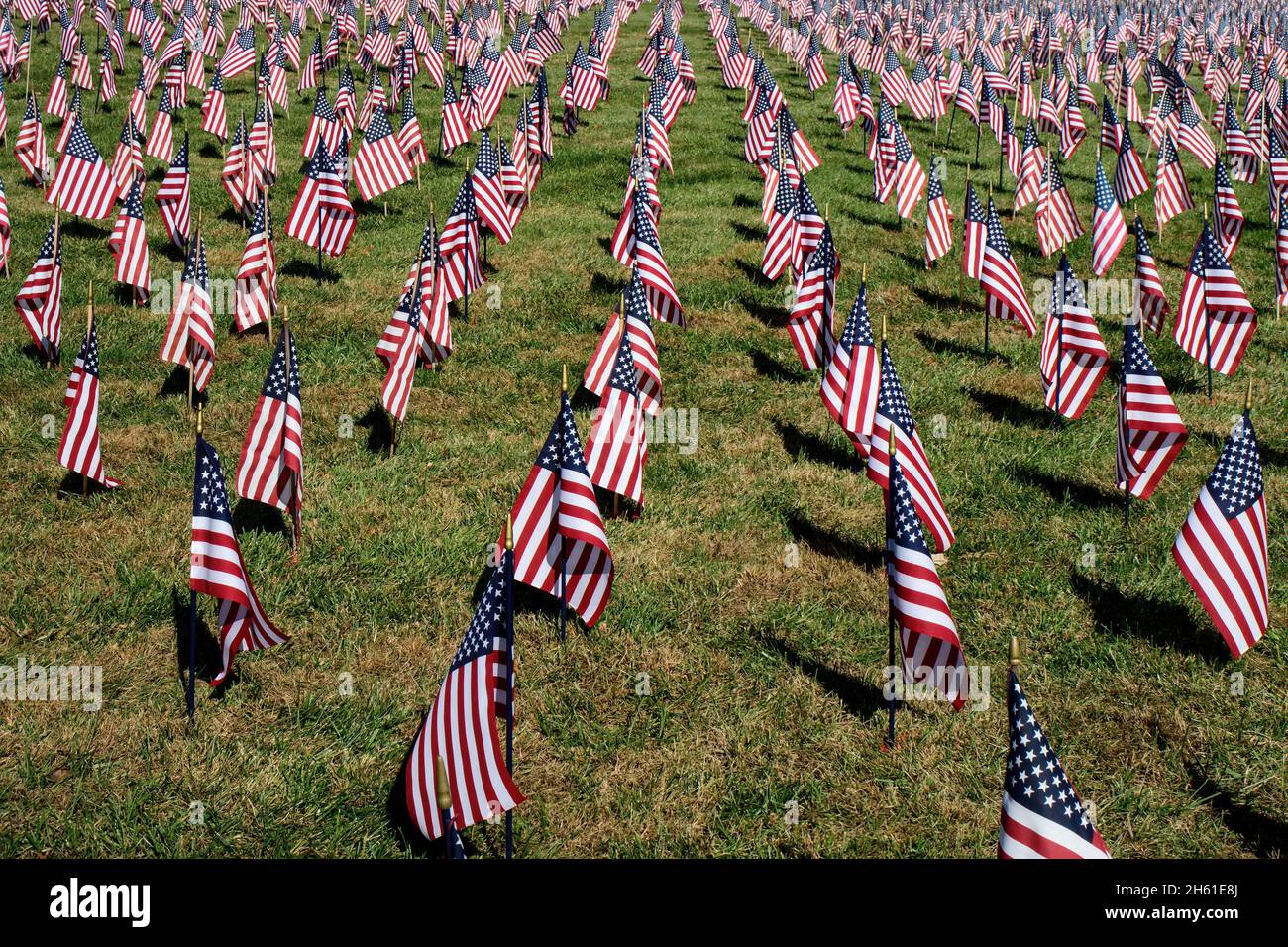 American Flag in a sea of flags honoring military veterans on a bright sunny day. The U.S. flag, is the national flag of the United States. Stock Photo