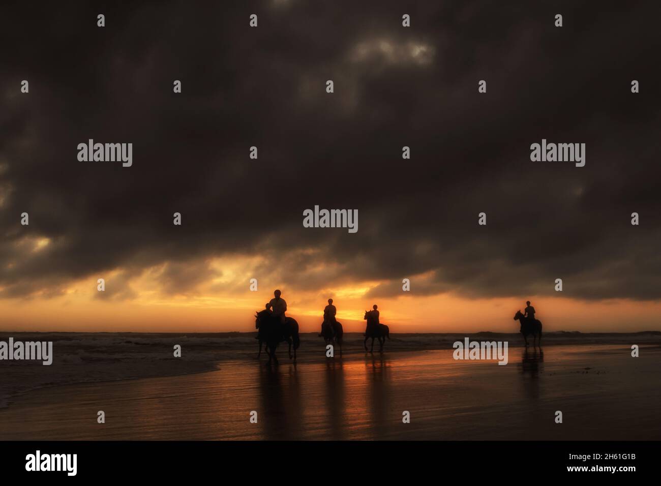 Silhouettes of the horse riders on the beach at sunset Stock Photo - Alamy
