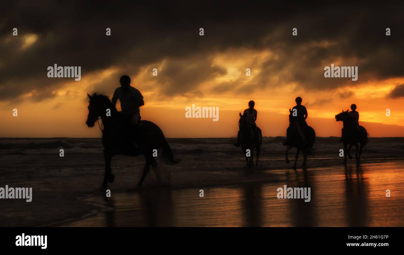 Silhouettes of the horse riders on the beach at sunset Stock Photo - Alamy