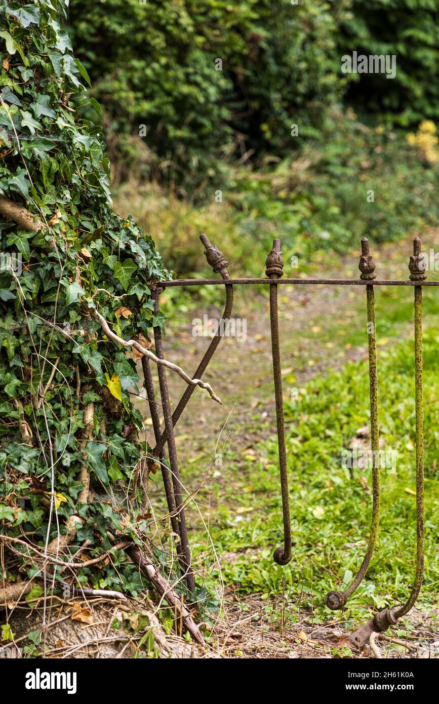 Old wrought iron fence, broken and being absorbed into a tree growing next to it, Johnstown old church, County Kildare, Ireland Stock Photo