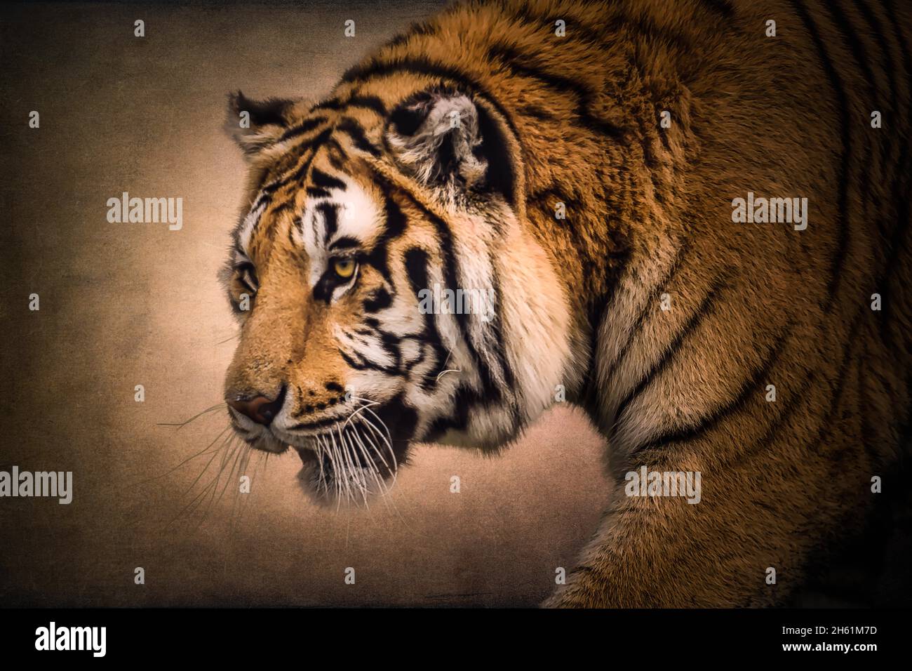 Wildlife Texture Blending Stock Photo - Alamy