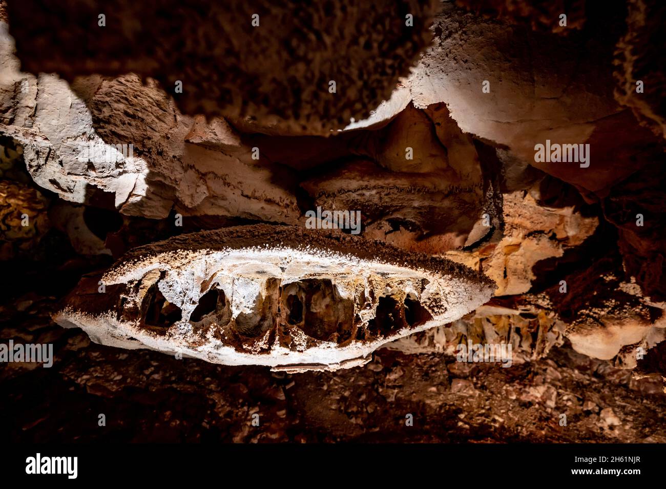 Boxwork Boxwork formation inside Wind Cave National Park in the Black Hills of ...