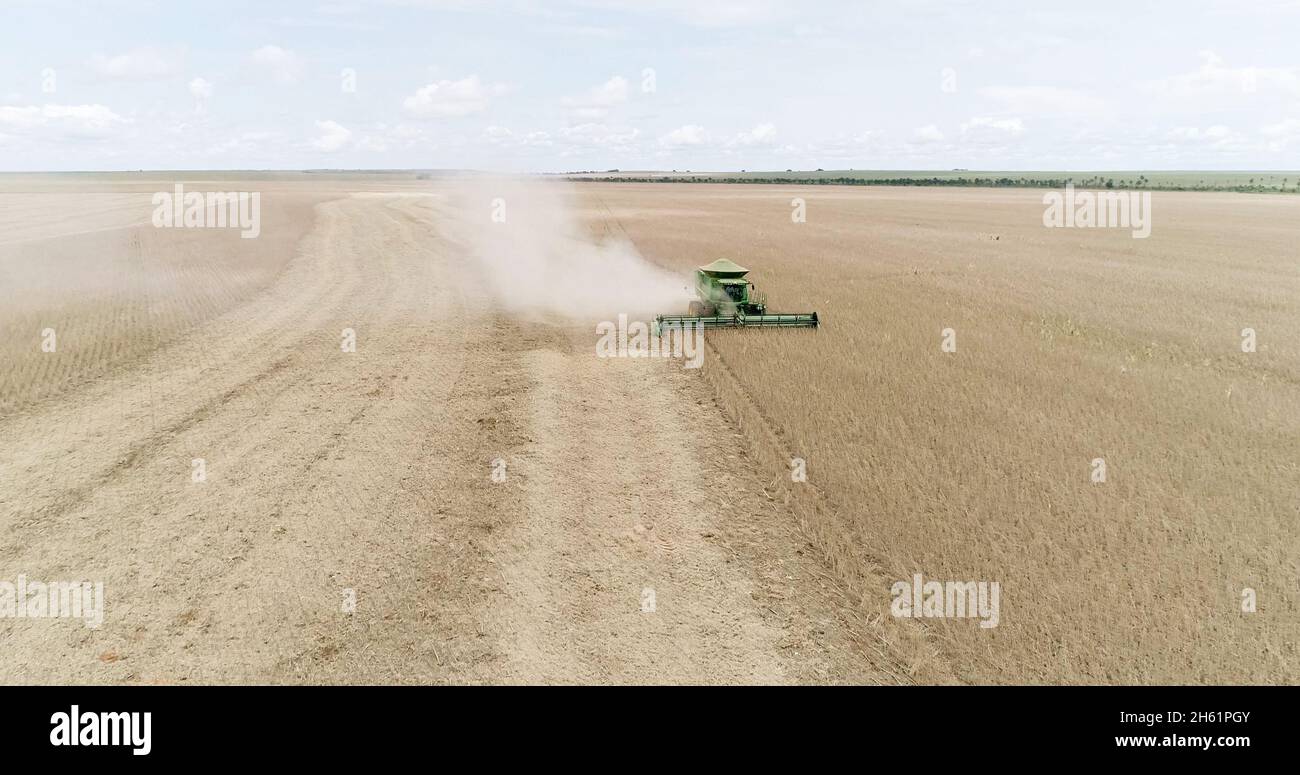 Soybean harvesting at a farm in Mato Grosso, Brazil Stock Photo - Alamy