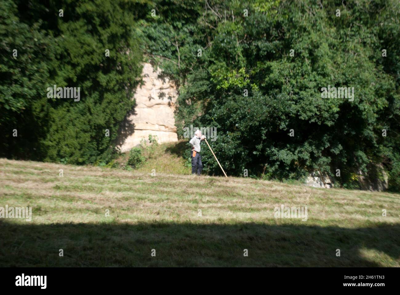 Sloping Rakes Gardener leaning on lawn rake on sloping lawn with trees and rock at ...