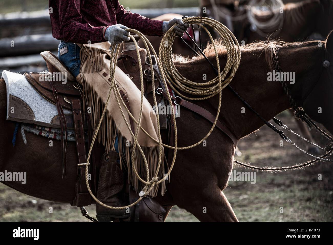 cowboy with lasso Stock Photo