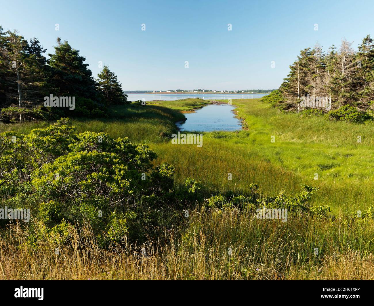 canada,coastal scene,nature,prince edward island,prince edward island national park,cavendishth rustico Stock Photo