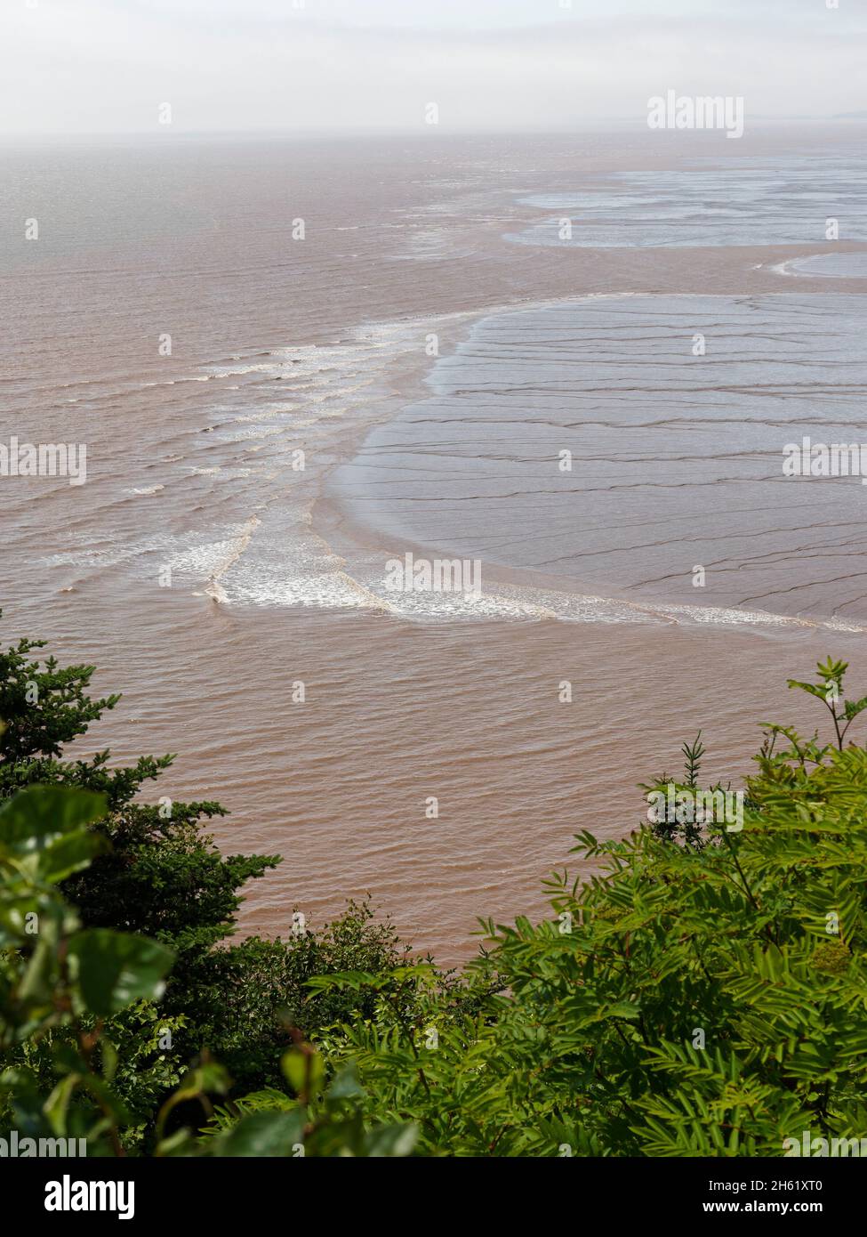 bay of fundy,canada,ebb and flow,hopewell rocks,new brunswick,tidal basin,tidal waves,water,world's highest tide,energy Stock Photo