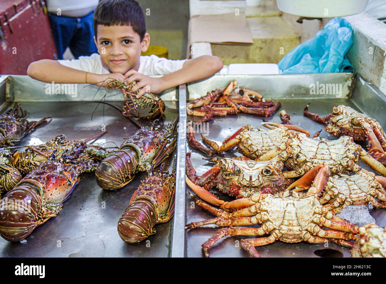 Panama City,Ancon,Mercado de Mariscos,market marketplace selling fresh,Hispanic boy seafood crabs lobsters display sale Stock Photo