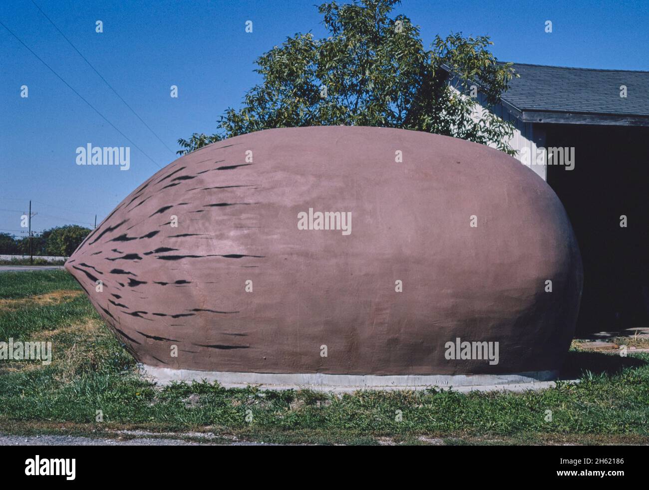 Worlds largest pecan hires stock photography and images Alamy