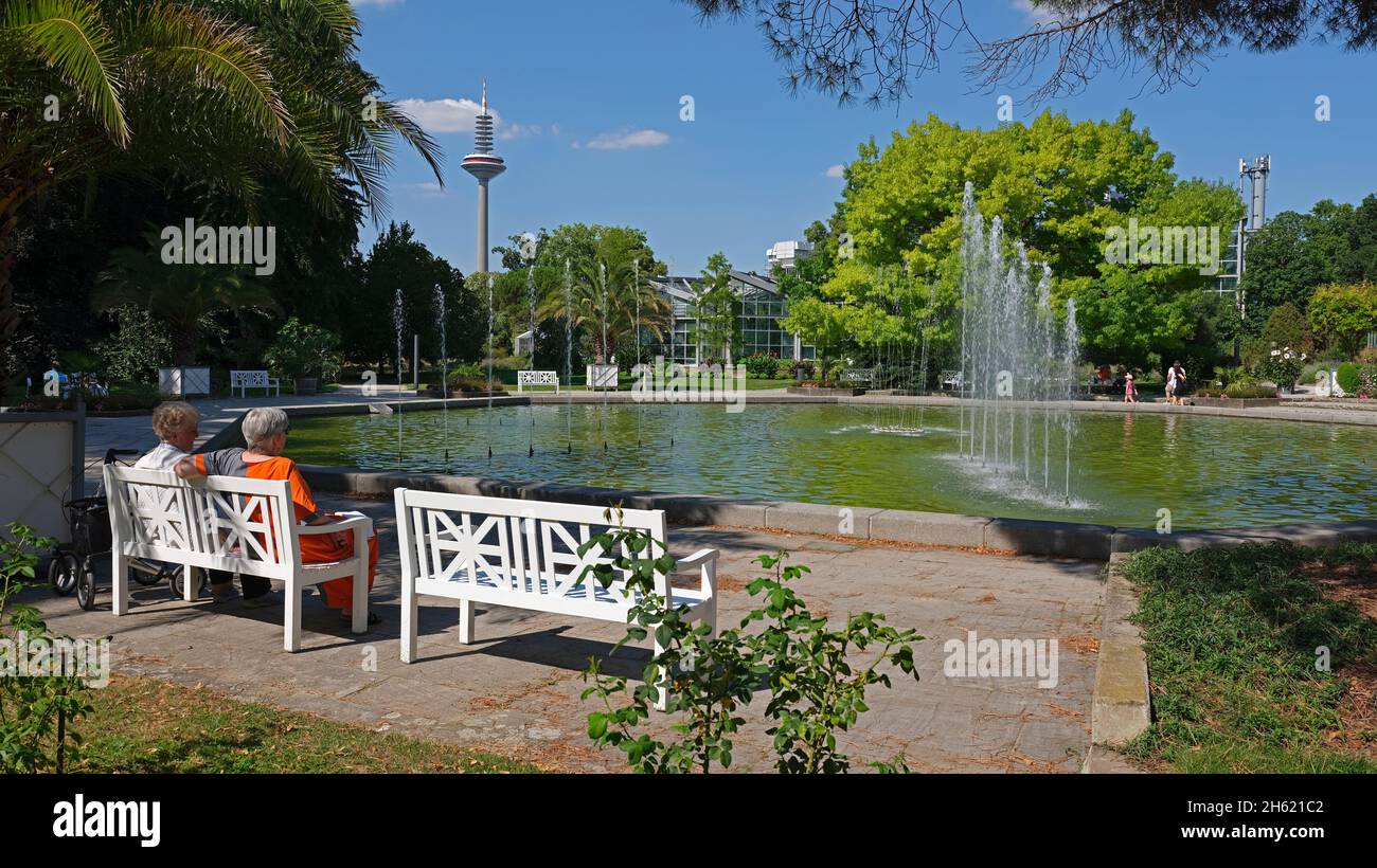 fountain,water features,greenhouse,palm garden,frankfurt am main,hesse,germany Stock Photo