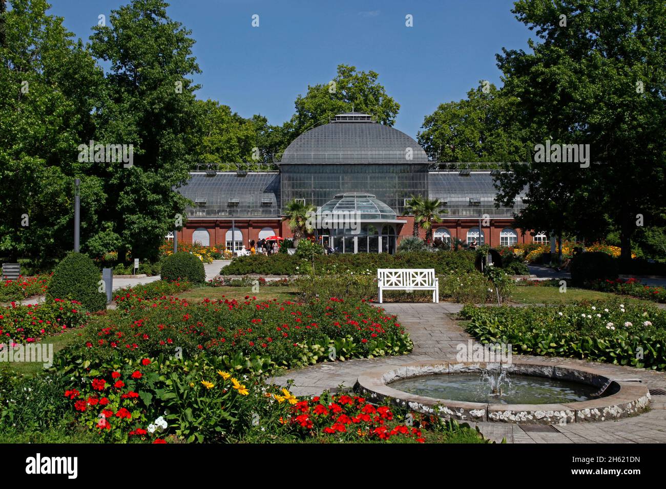fountain,rose beds,palm garden,frankfurt am main,hesse,germany Stock Photo
