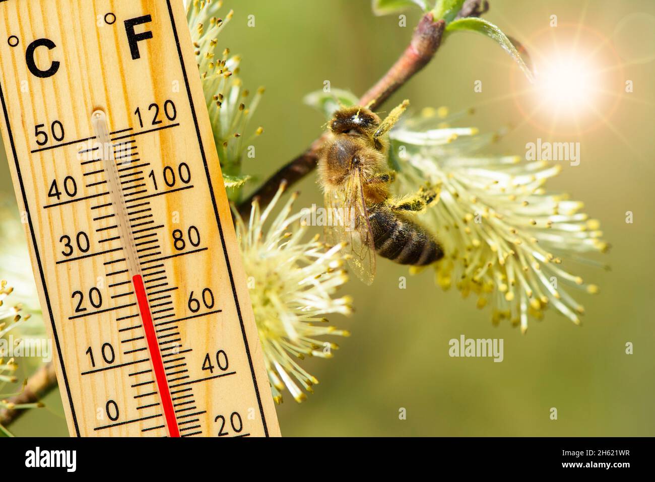 warm temperature in summer Stock Photo