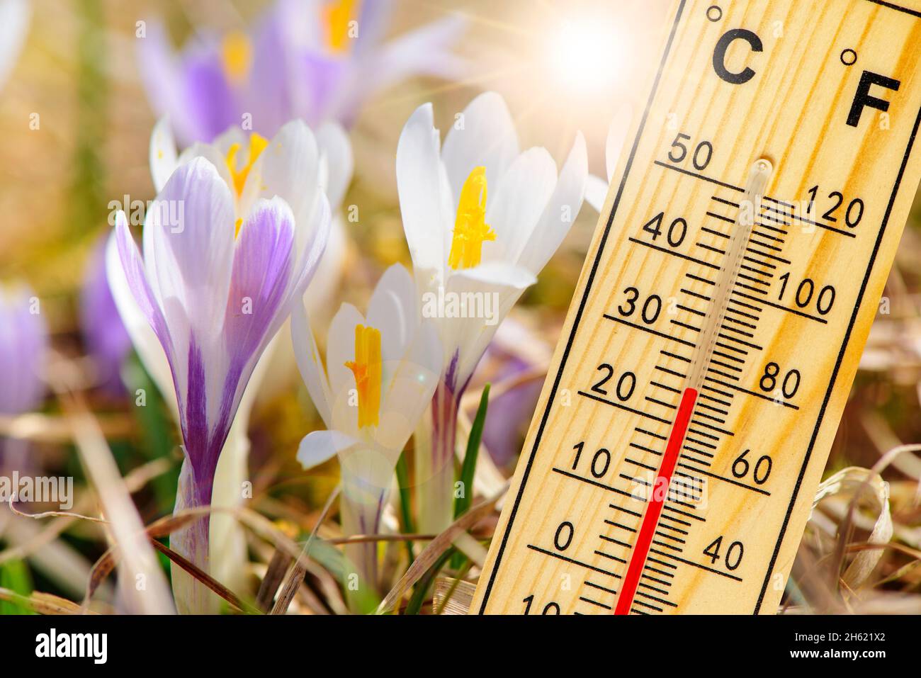 warm temperature in summer Stock Photo