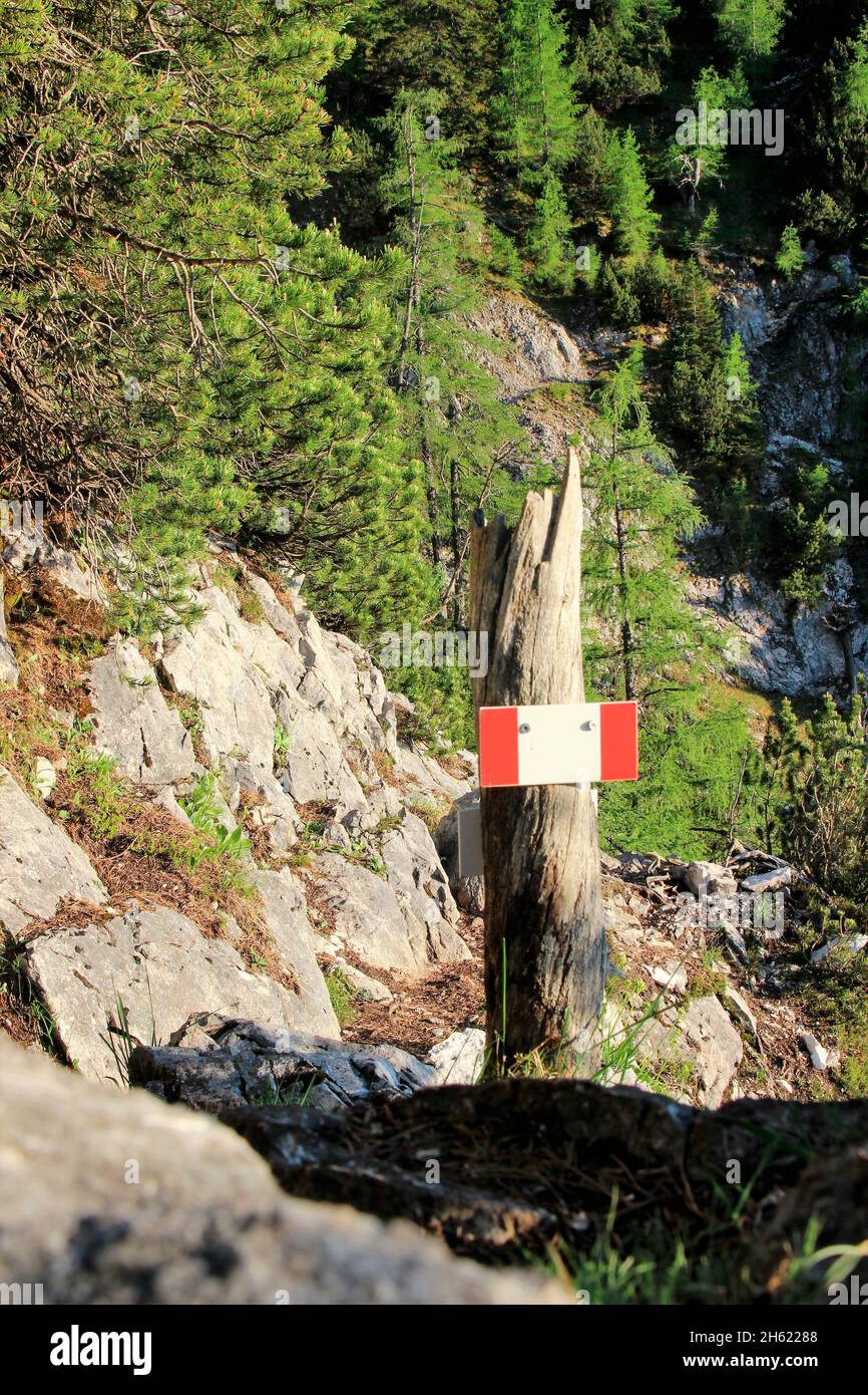 hike to the mittenwalder hut,a dead tree stump with a signpost,sunny,germany,bavaria,upper bavaria,werdenfelser land,bavarian alps,mittenwald,alpenwelt karwendel,mountain pine Stock Photo