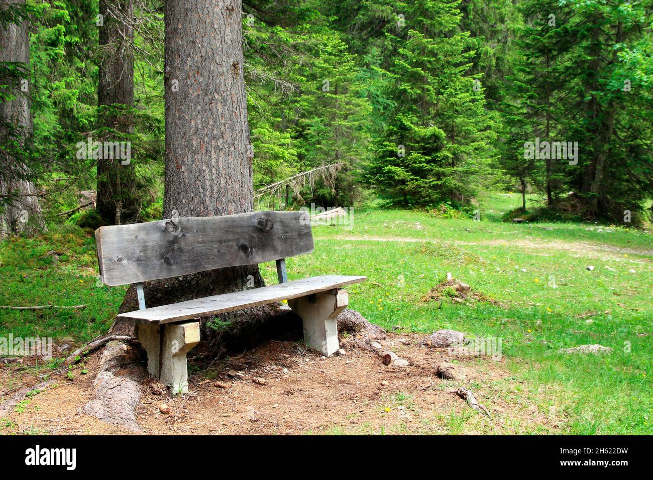 contemplative bench in the forest on the way to the zirler kristenalm (1348m),in großkristental,tyrol,austria Stock Photo