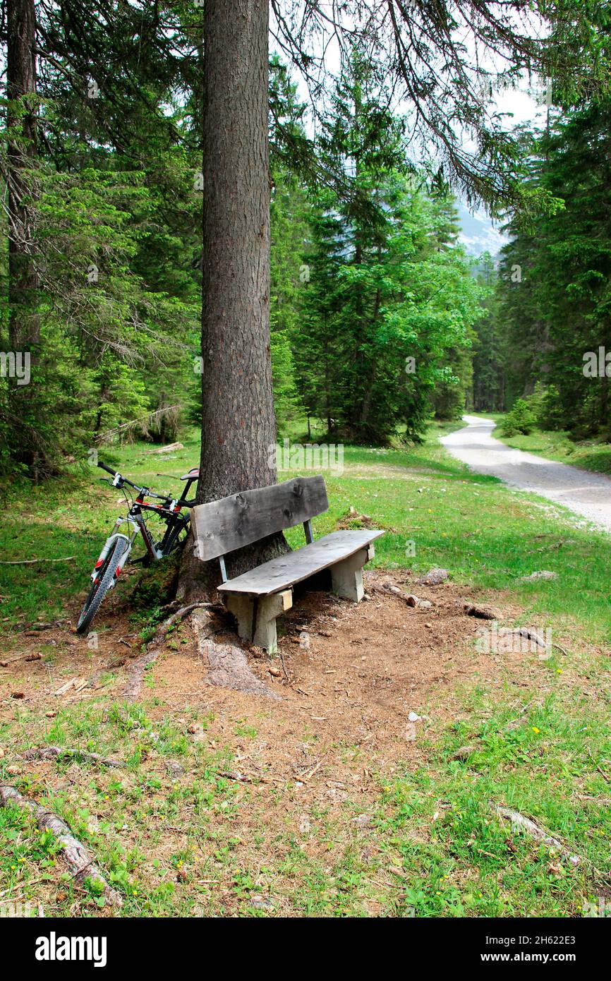 contemplative bench in the forest on the way to the zirler kristenalm (1348m),bike,break,bike route,weg strasse in großkristental,tyrol,austria Stock Photo