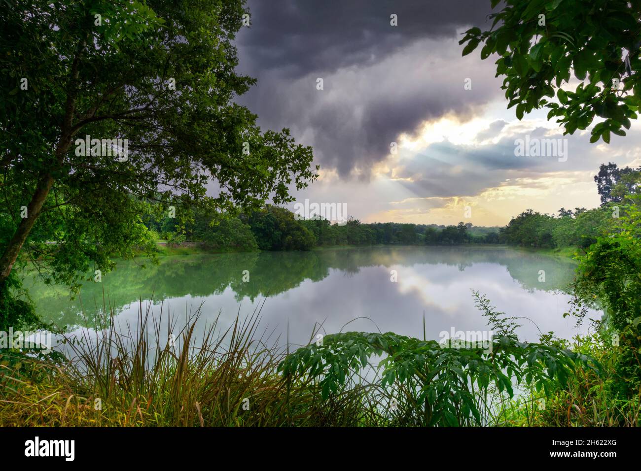 View of Colorful dramatic sky sunset or sunrise with clouds background on Water River in Forest, Sky with cloud in nature and travel concept. Stock Photo