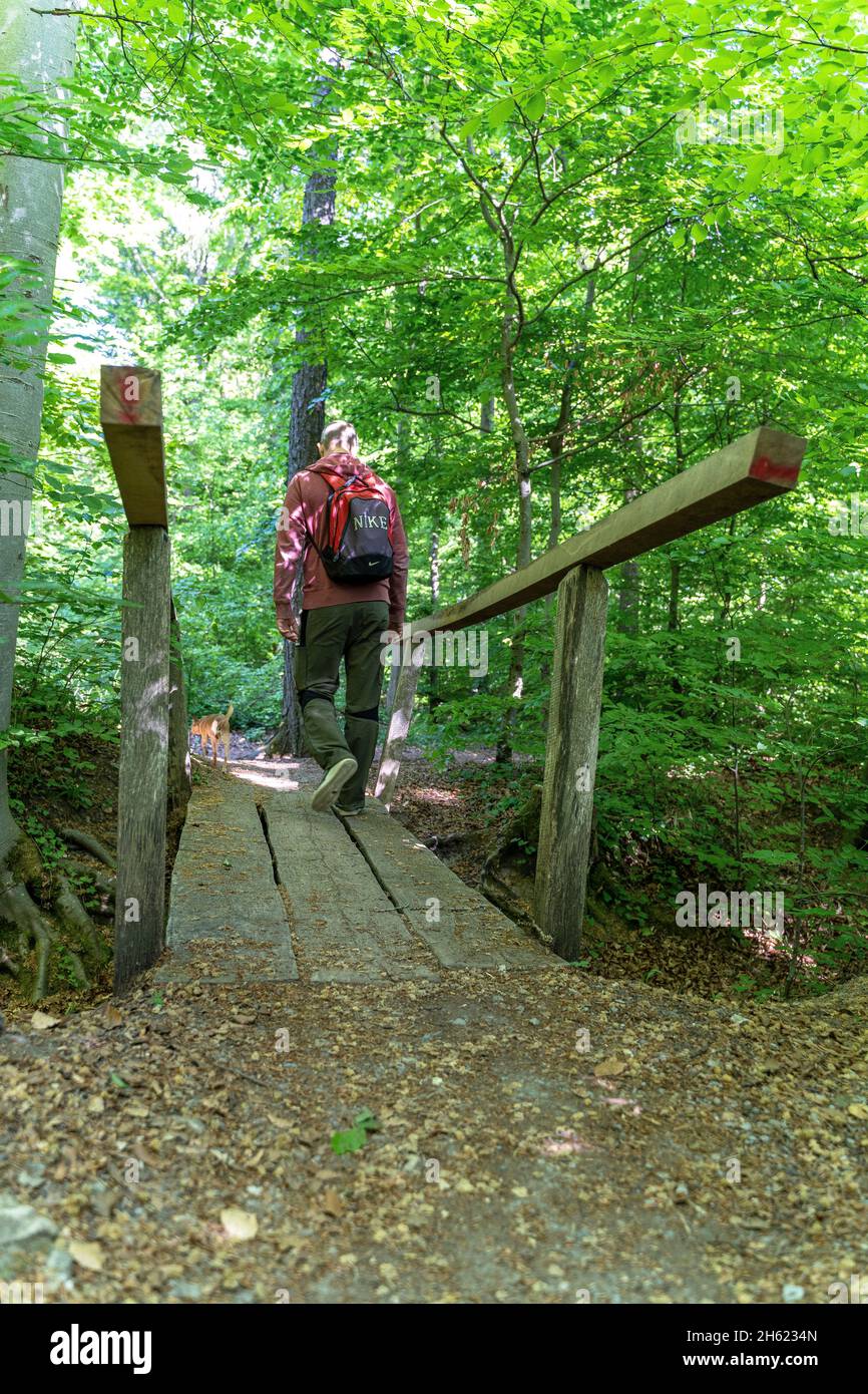 europe,germany,baden-wuerttemberg,schönbuch region,herrenberg,hiker crosses a small wooden bridge in the forest near herrenberg Stock Photo
