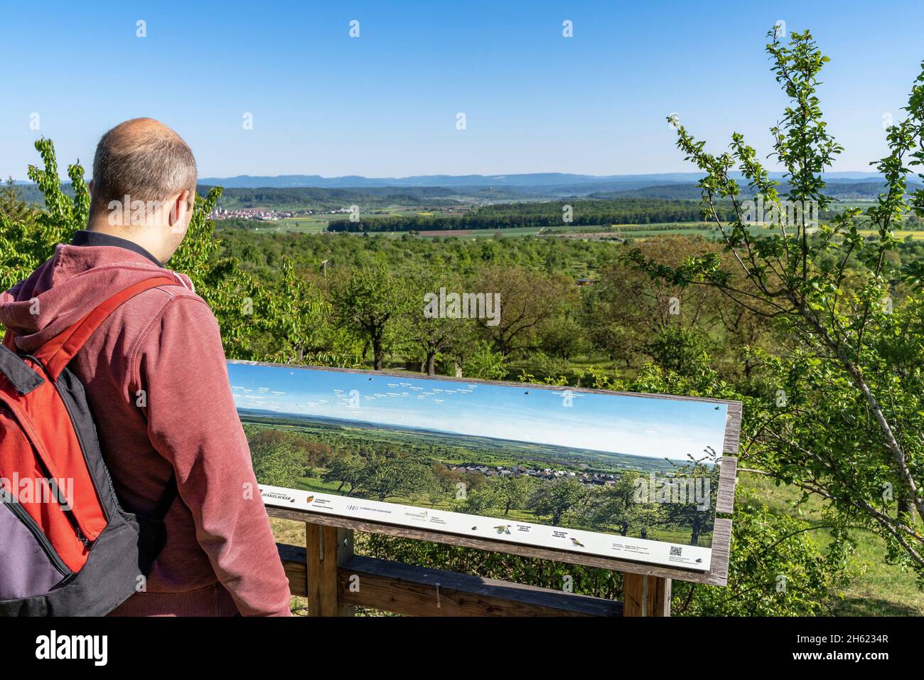 europe,germany,baden-wuerttemberg,schönbuch region,herrenberg,hiker looks at information board to the panorama Stock Photo