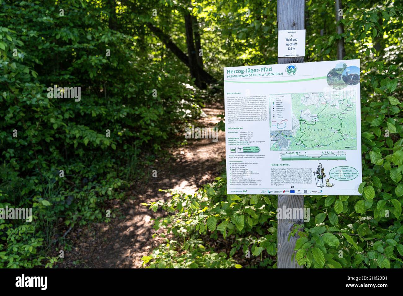 europe,germany,baden-wuerttemberg,schönbuch region,waldenbuch,entry into the herzog-jäger-path at the edge of the forest near waldenbuch bonholz Stock Photo