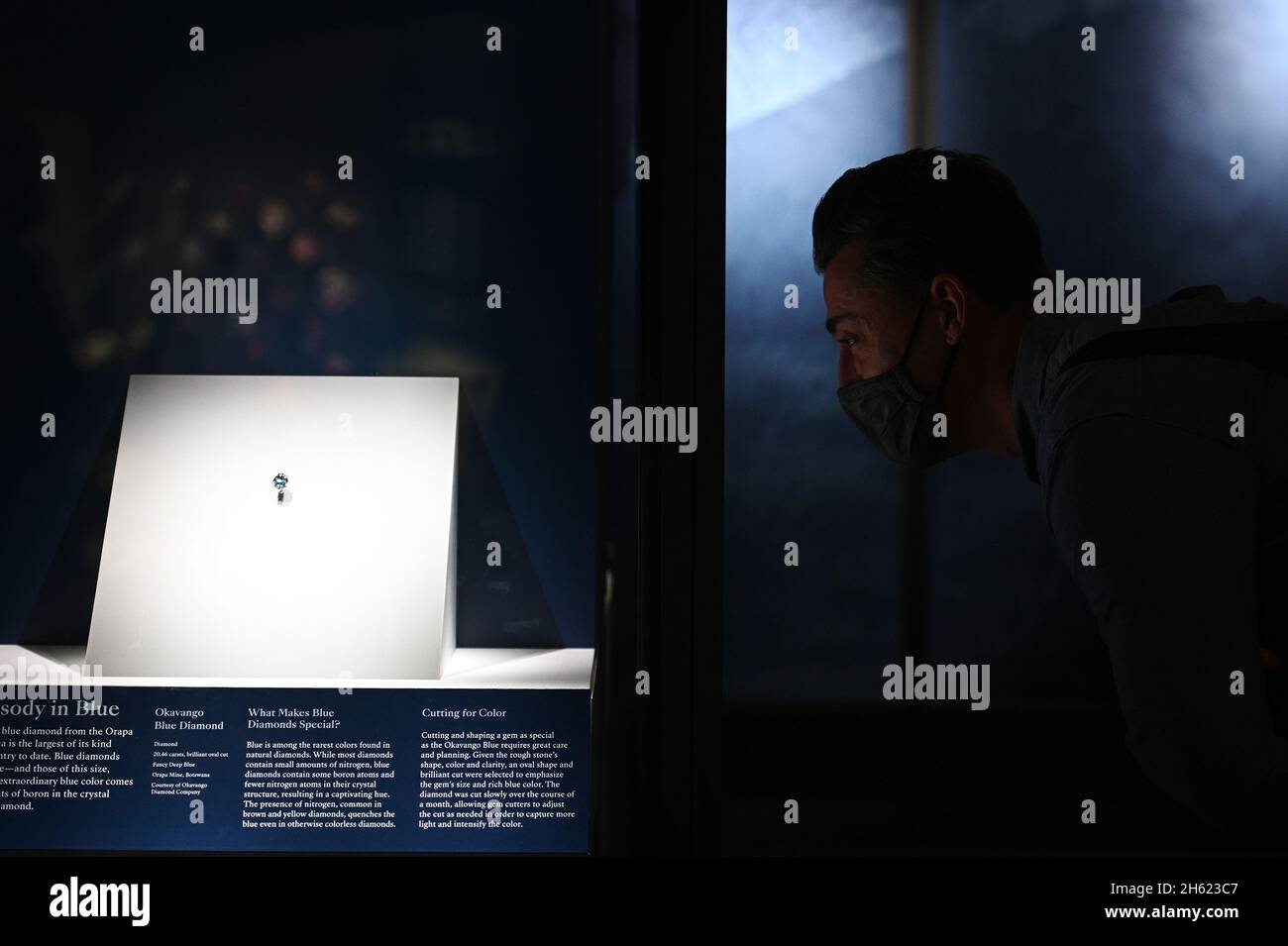 New York, USA. 12th Nov, 2021. A museum visitor looks at the nearly flawless 20-carat “Okavango Blue Diamond” on display at the American Museum of Natural History in New York, NY, November 12, 2021. The diamond which, is owned by the government of Bostwana, is part of an exhibition with other natural diamonds at the Mignone Halls of Gems and Minerals on the history of diamond mining in Botswana. (Photo by Anthony Behar/Sipa USA) Credit: Sipa USA/Alamy Live News Stock Photo