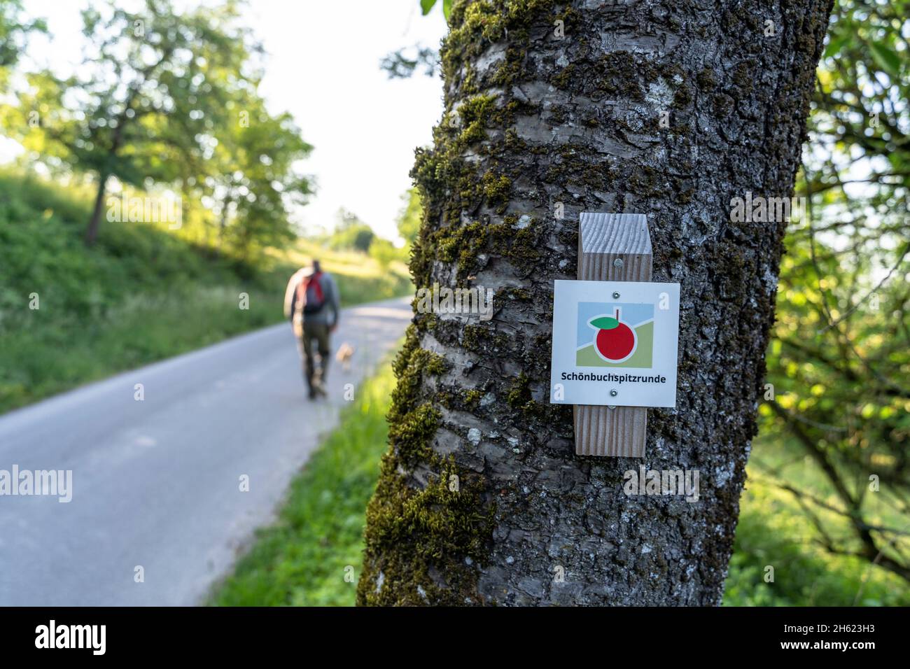 Marking out the route hi-res stock photography and images - Alamy