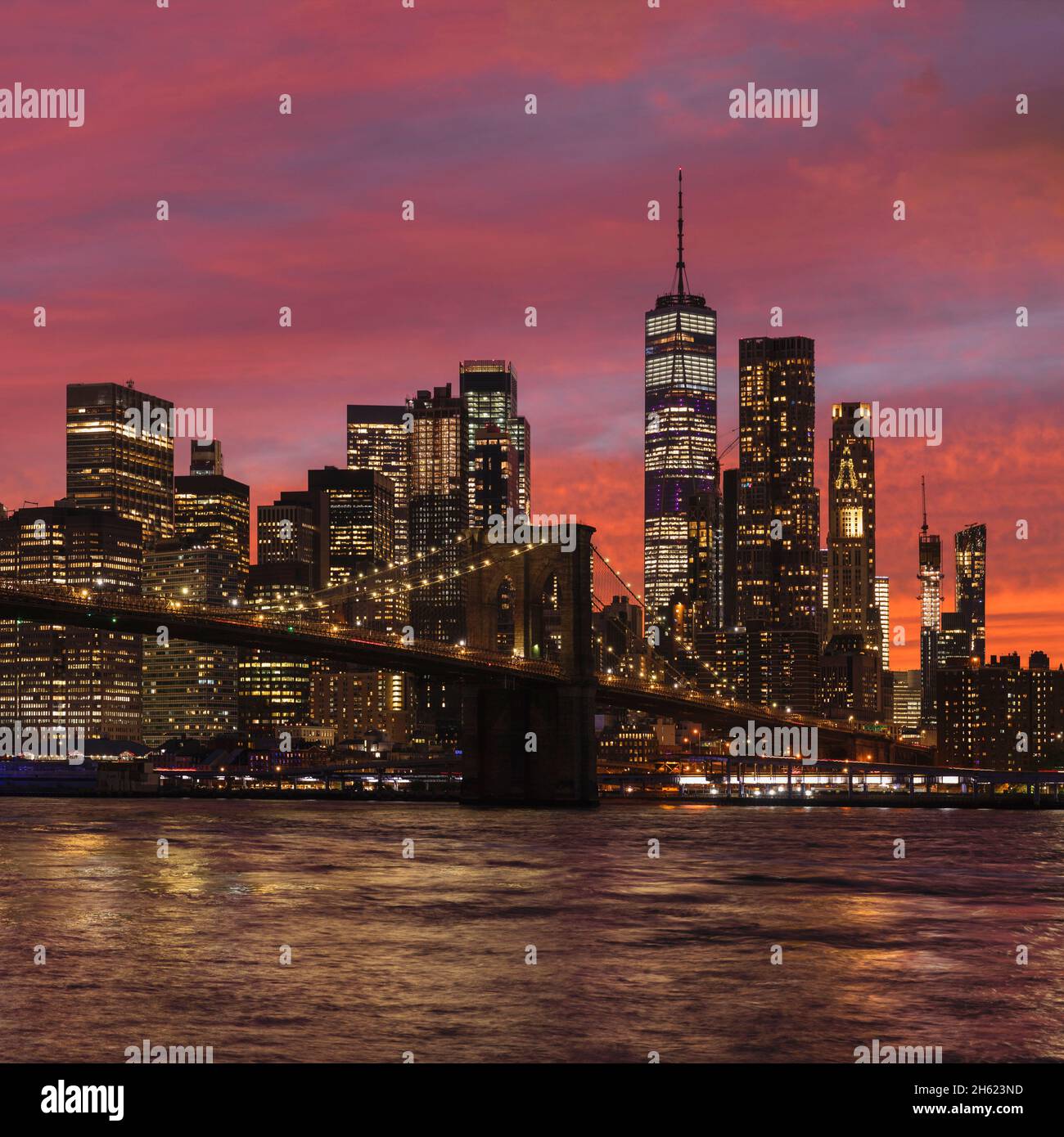 My Image 23